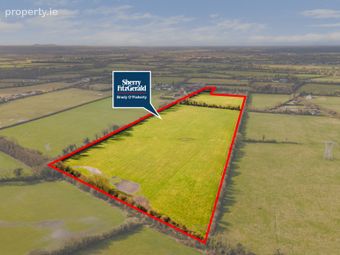 Laragh Demesne, Maynooth, Co. Kildare, Laragh, Co. Kildare - Image 2