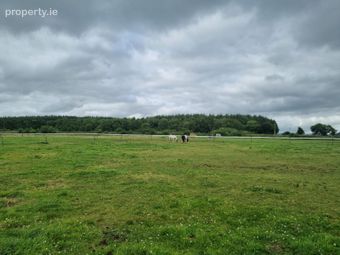 Whitethorn Equestrian Centre, Knocknasnaa, Abbeyfeale, Co. Limerick - Image 3