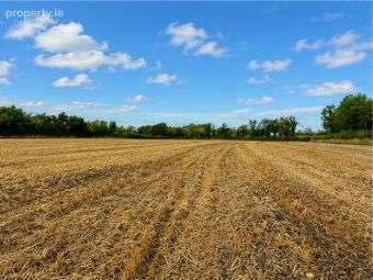 C. 21 Acres, Blackchurch &amp; Tuckmilltown, Kill, Co. Kildare - Image 4