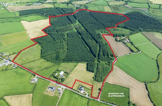 Yellowford, Ballymacoda, Co. Cork - Click to view photos