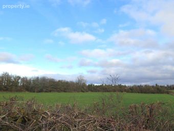 Barnalick, Adare, Co. Limerick - Image 2
