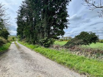 Lackendarra, Anglesboro, Kilmallock, Co. Limerick, Anglesboro, Co. Limerick - Image 5