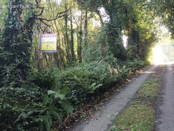 Kilmacoo, Avoca, Co. Wicklow - Image 4