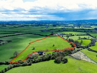 Francroft, Roscrea, Co. Offaly, Coolderry, Co. Offaly - Image 3