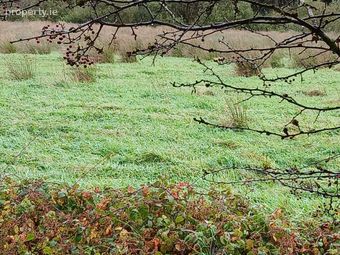 Glencollins, Ballydesmond, Co. Cork - Image 3