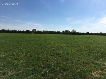 Garraun, Two-mile-borris, Thurles, Co. Tipperary - Image 4