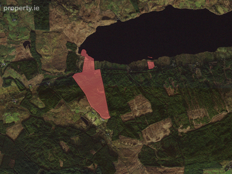 C. 59 Ac Forestry & Agri Land, Doolough, Mullagh, Co. Clare