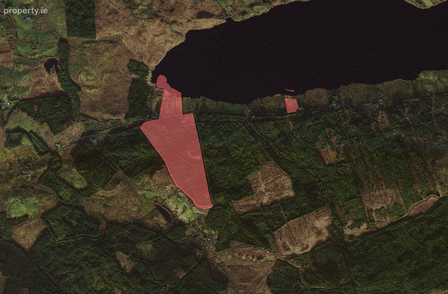 C. 59 Ac Forestry &amp; Agri Land, Doolough, Mullagh, Co. Clare - Click to view photos
