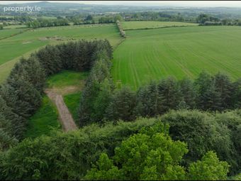 Loughmouge Upper, Dunlavin, Co. Wicklow - Image 3