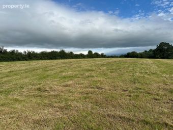 Ballyteiglea, Borris, Co. Carlow - Image 4