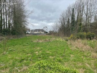 Clongeen Site, Clongeen, Co Wexford, Clongeen, Co. Wexford - Image 2