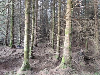 Glenmore Upper, Kilmihil, Co. Clare - Image 3