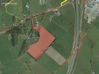 20.85 Acres Lands Oldglass, Grantstown, Ballacolla, Co. Laois