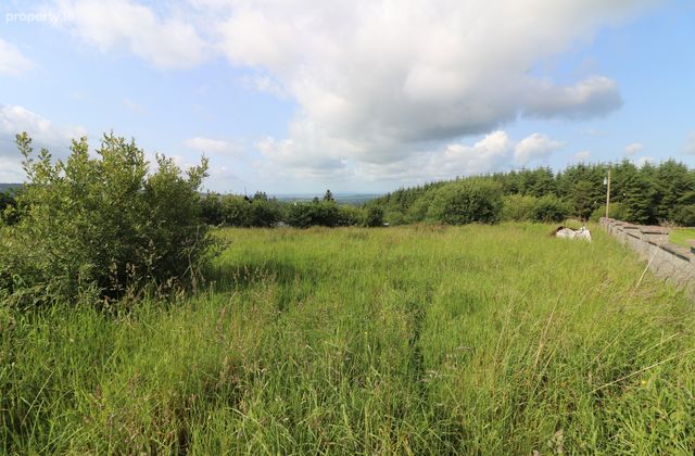 Cooleycasey, Sixmilebridge, Co. Clare - Click to view photos