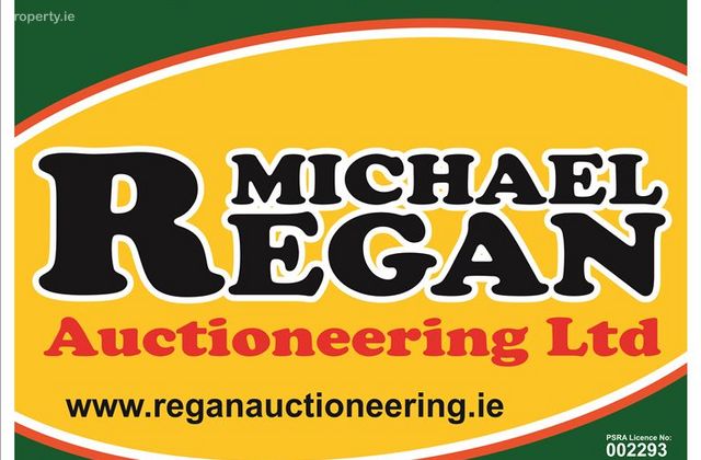 Site At Gortanumera, Portumna, Galway, Portumna, Co. Galway - Click to view photos