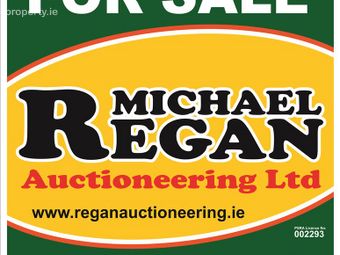 Site At Gortanumera, Portumna, Galway, Portumna, Co. Galway