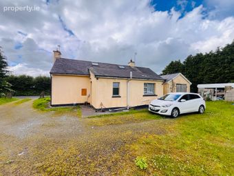 Mitchelstowndown, Garryspillane, Garryspillane, Co. Limerick - Image 4