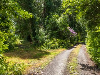 Ballynona House, Midleton, Co. Cork - Image 4