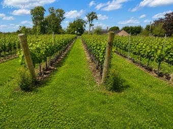 Fairy Trees Winery, Willistown, Drumcar, Drumcar, Co. Louth - Image 2
