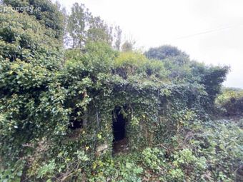 Ballysallagh (derelict Res. &amp; C. 3 Acres), Hacketstown, Co. Carlow, Hacketstown, Co. Carlow - Image 2