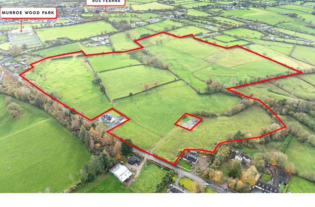 Glenstal Cross, Murroe, Co. Limerick, Murroe, Co. Limerick - Click to view photos