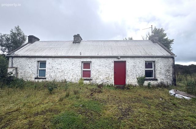 Rover, Ballyfarnon, Geevagh, Co. Sligo - Click to view photos