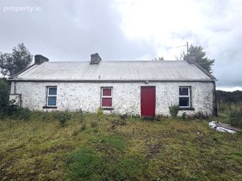 Rover, Ballyfarnon, Geevagh, Co. Sligo