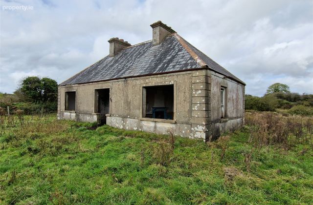 Woods, Midfield, Co Mayo, Midfield, Co. Mayo - Click to view photos