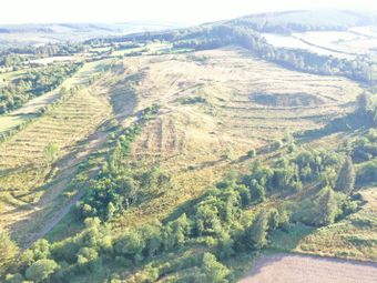Saddle Hill, Blessington, Thomastown, Co. Kilkenny - Image 5