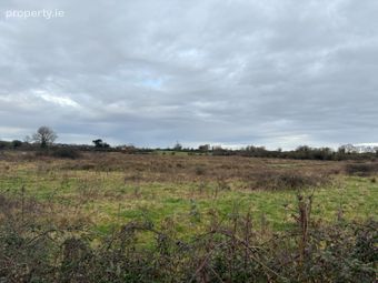 Ballyhomock, Cappagh, Adare, Co. Limerick - Image 4
