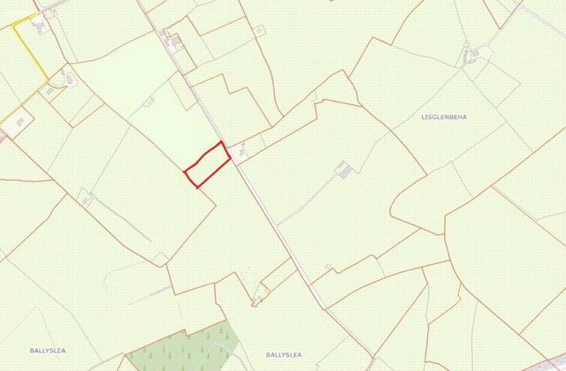 C. 1 Acre (0, 40 Hectares) Site, Roscrea, Co. Tipperary, Roscrea, Co. Tipperary - Click to view photos