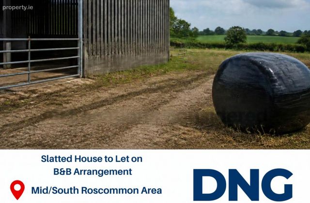 Slatted House To Let On A B&amp;b Arrangement, Roscommon, Co. Roscommon, Roscommon Town, Co. Roscommon - Click to view photos