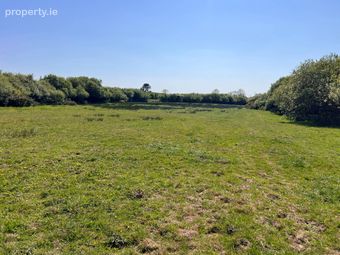 Gardamus (westland Grove), Mayglass, Co. Wexford - Image 5