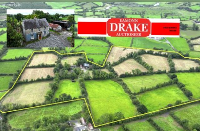 Dingins, Lough Gowna, Co. Cavan - Click to view photos