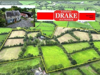 Dingins, Lough Gowna, Co. Cavan