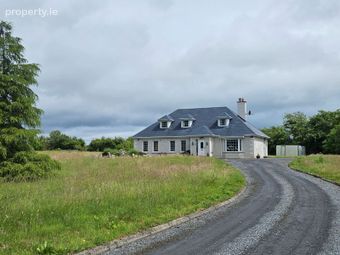 Beechwood House, Newtownpilsworth, Maganey, Co. Kildare - Image 3