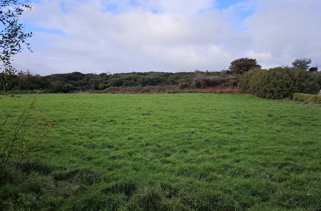 Ballnacor East, Kilbride, Co. Wicklow - Click to view photos
