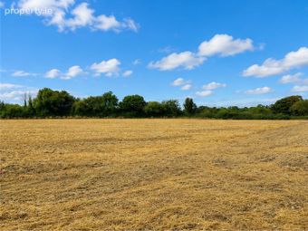 C. 6 Acres, Blackchurch &amp; Tuckmilltown, Kill, Co. Kildare - Image 2