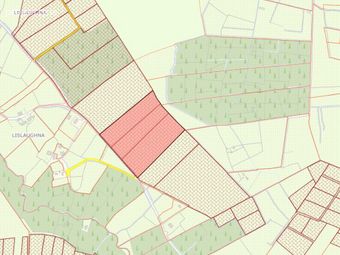 Lands Cloongoonagh, Ballyhaunis, Co. Mayo - Image 5