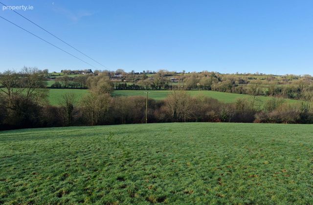 Drumdowney, Slieverue, Co. Kilkenny - Click to view photos