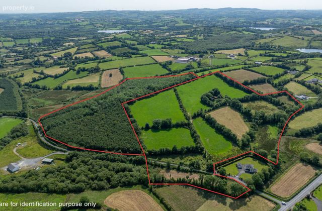 Blackstep, Bailieborough, Co. Cavan, Canningstown, Co. Cavan - Click to view photos