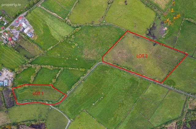 Derryneill, Ballydangan, Athlone, Co. Roscommon, Ballydangan, Co. Roscommon - Click to view photos
