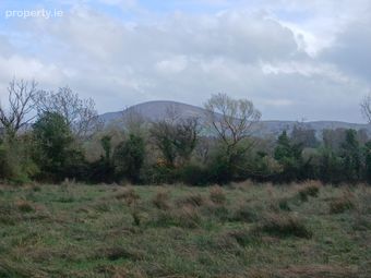 Lyredaowen, Rathmore, Millstreet, Co. Cork - Image 5