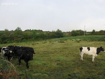 Ratharoon West, Bandon, Co. Cork - Image 4