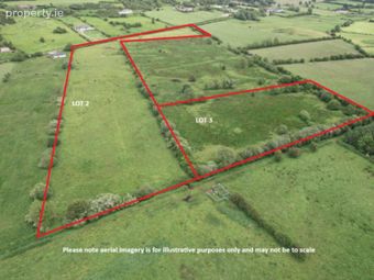 Grange, Kilmallock, Co. Limerick, Grange, Co. Limerick - Image 4