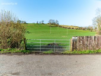 21.5 Acres Dowdenstown Great, Ballymore Eustace, Naas, Co. Kildare, Punchestown, Co. Kildare - Image 4