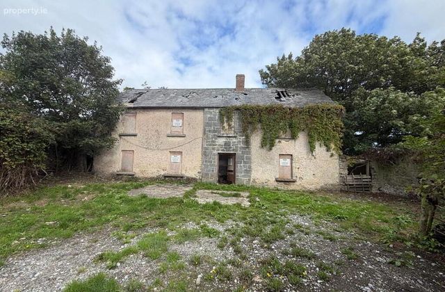 Farmhouse On 9.1 Acres, Kilmog, Kilkenny, Cuffesgrange, Co. Kilkenny - Click to view photos