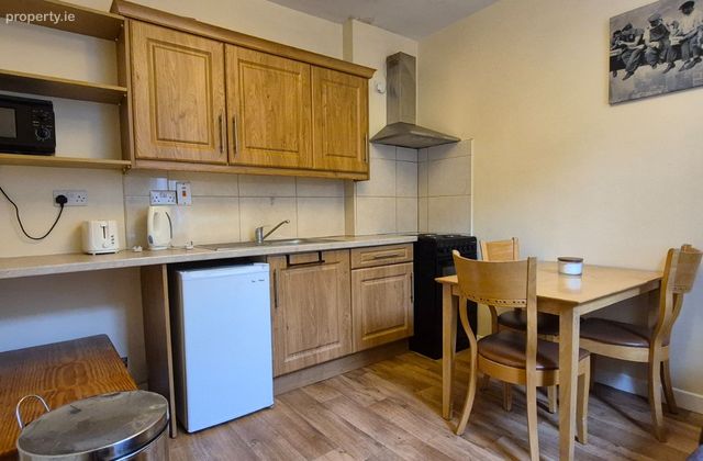 Basement Apartment, 6 Catherine Place, Limerick City Centre, Co. Limerick - Click to view photos