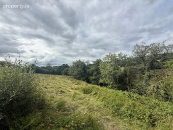 Lands At Lurragh, Ballyfarnon, Co. Roscommon, Folio Rn7797f, Ballyfarnon, Co. Roscommon - Image 3
