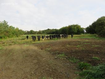 Ratharoon West, Bandon, Co. Cork - Image 2